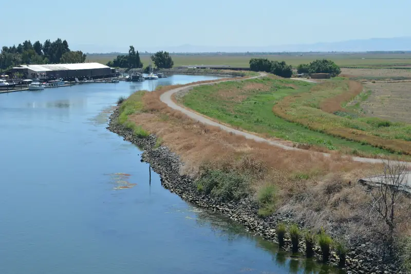 A curving grass-topped levee lined with rock beside calm Delta water, with flat farm fields and a marina in the distance